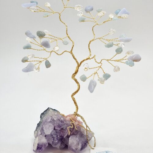 Wellness Gemtree