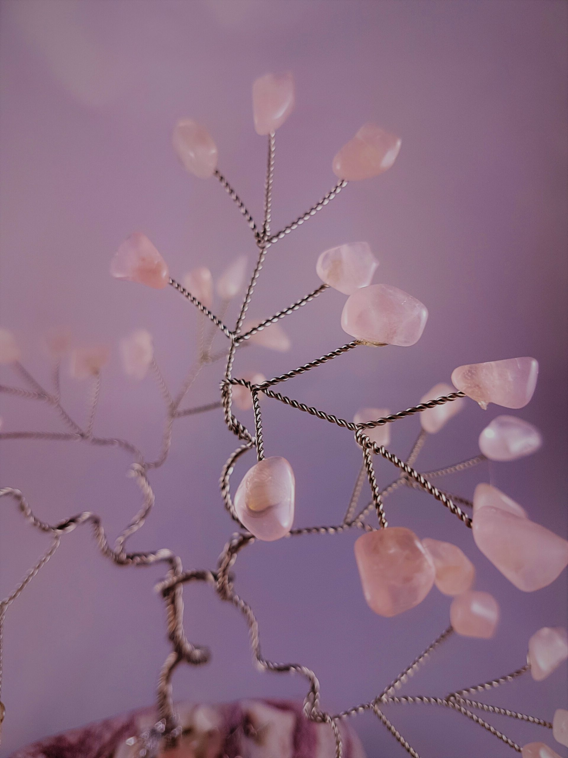 Rose Quarzt for Love and Passion