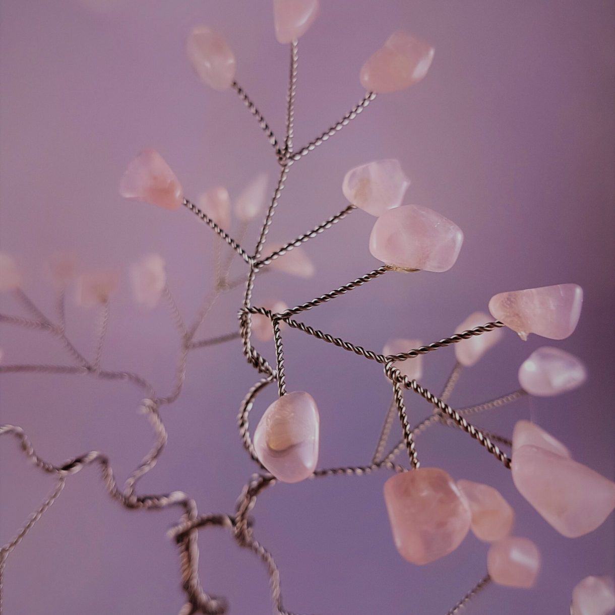 Rose Quarzt for Love and Passion